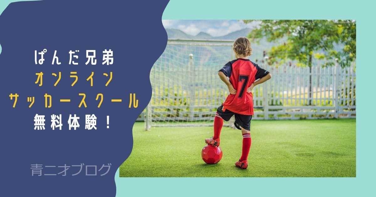 ぱんだ兄弟オンラインサッカースクール無料体験